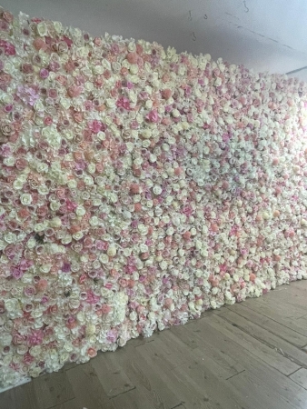 Duvar Çiçeği